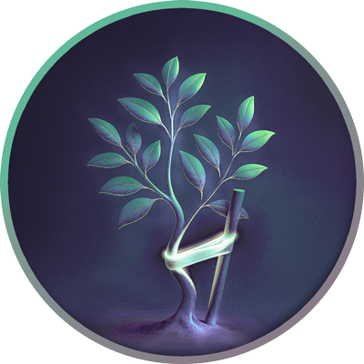 Arbol traumatologo